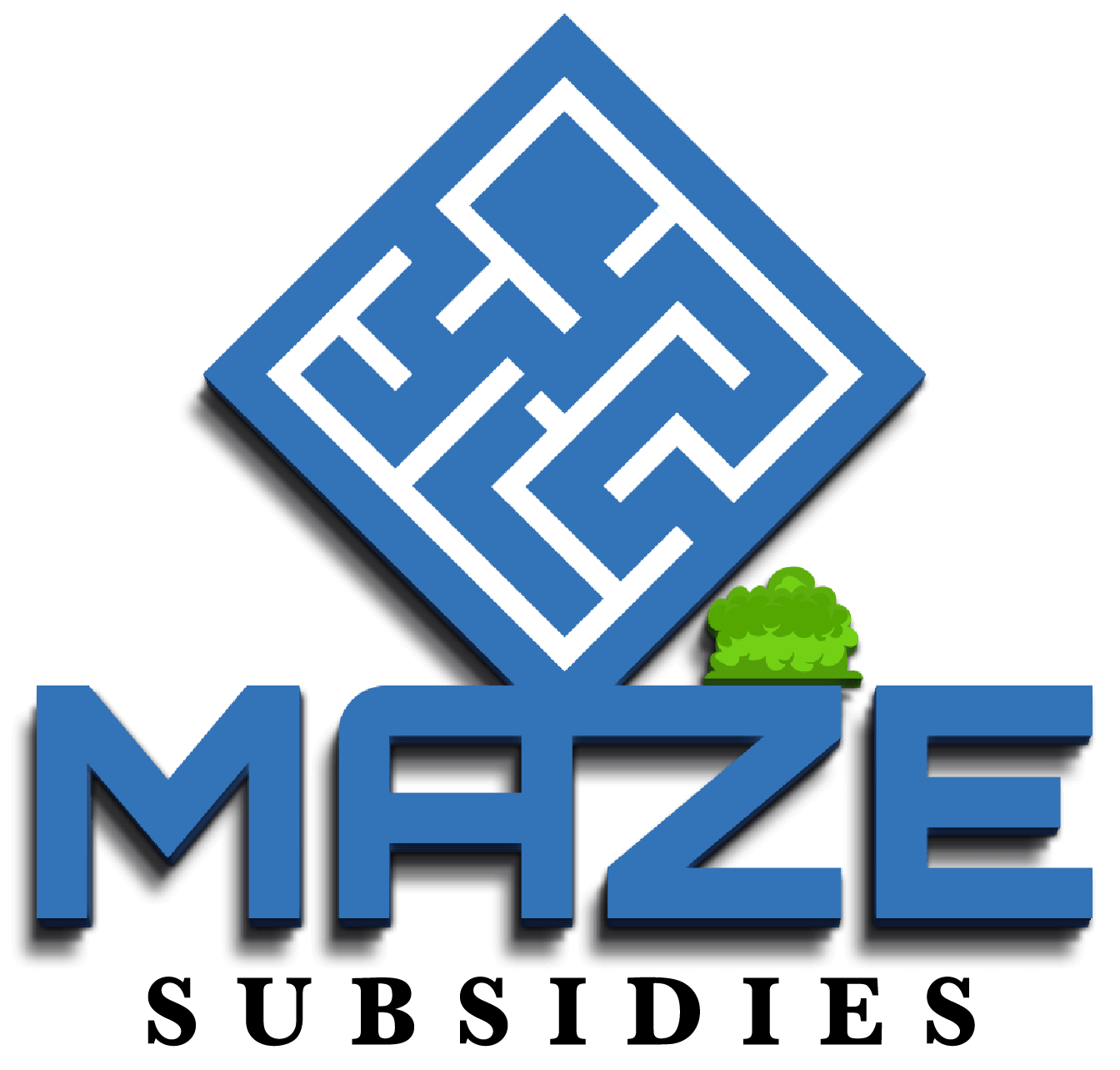 Maze Subsidies Danielle Eerenberg Subsidieregelingen